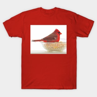 Cardinal No.4 T-Shirt